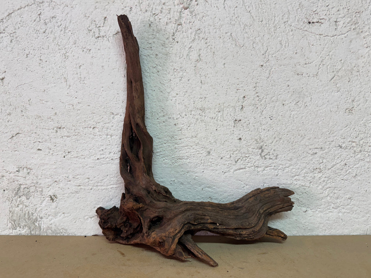 Drift Wood - 27*9*29 - cod.124 WHIMAR