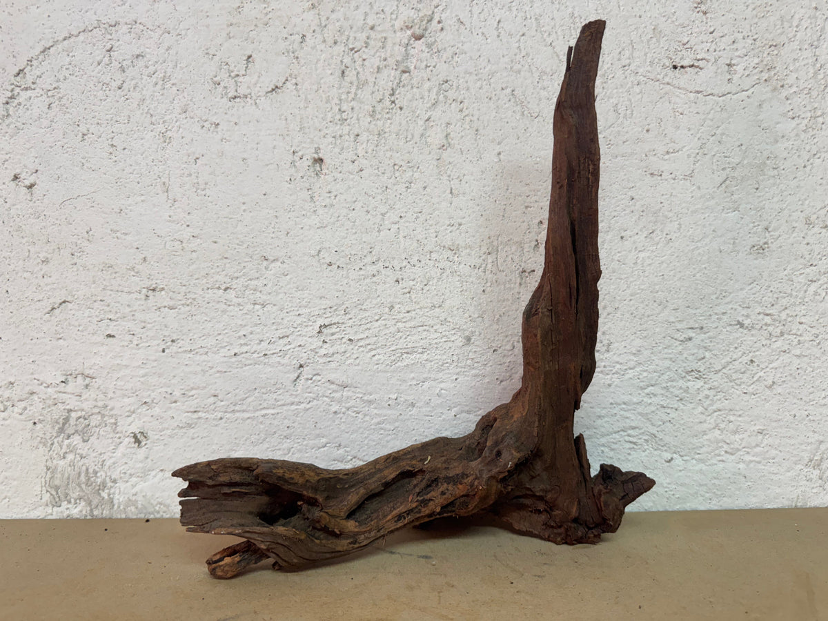 Drift Wood - 27*9*29 - cod.124 WHIMAR