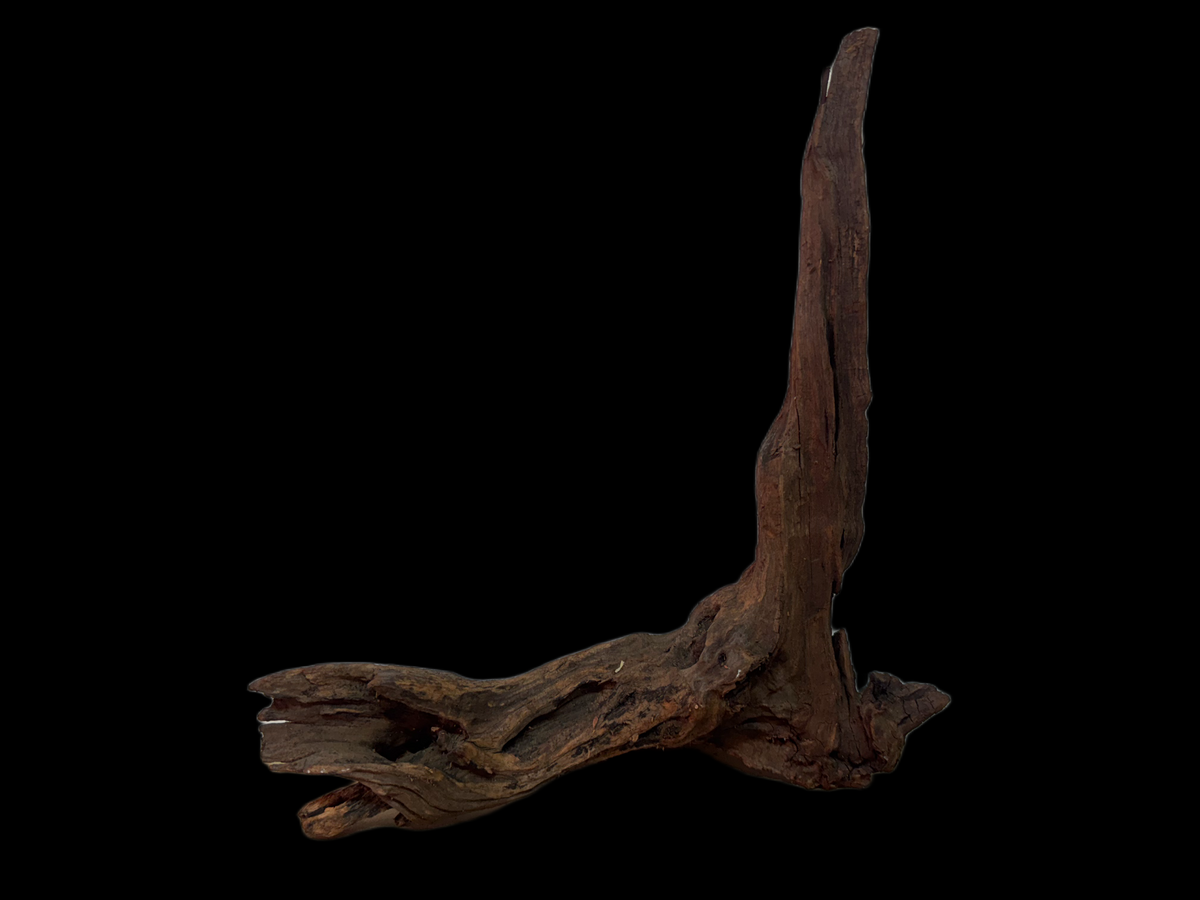Drift Wood - 27*9*29 - cod.124 WHIMAR
