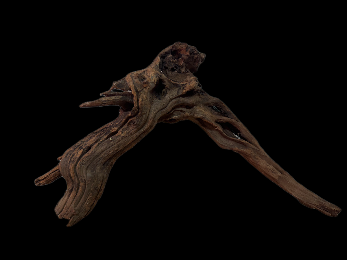 Drift Wood - 27*9*29 - cod.124 WHIMAR