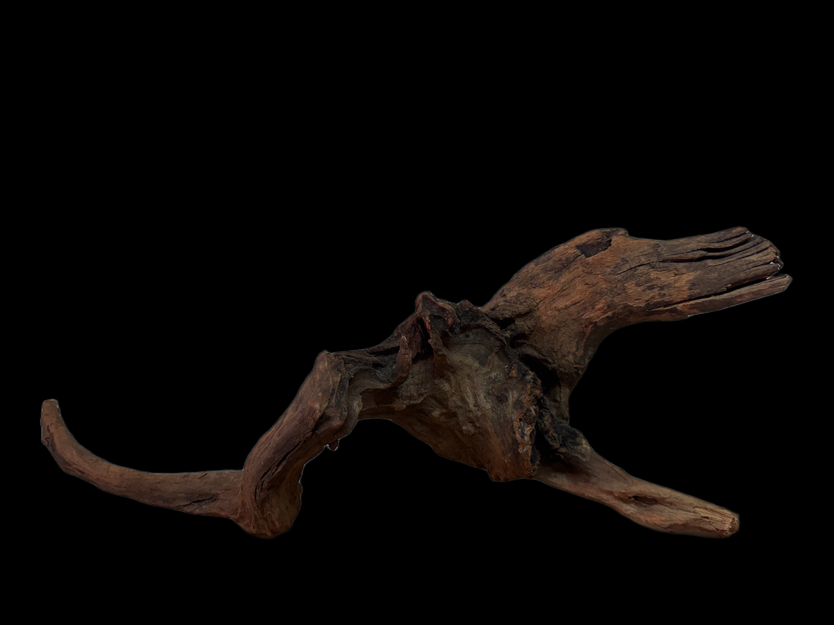 Drift Wood - 49*16*17 - cod.125 WHIMAR