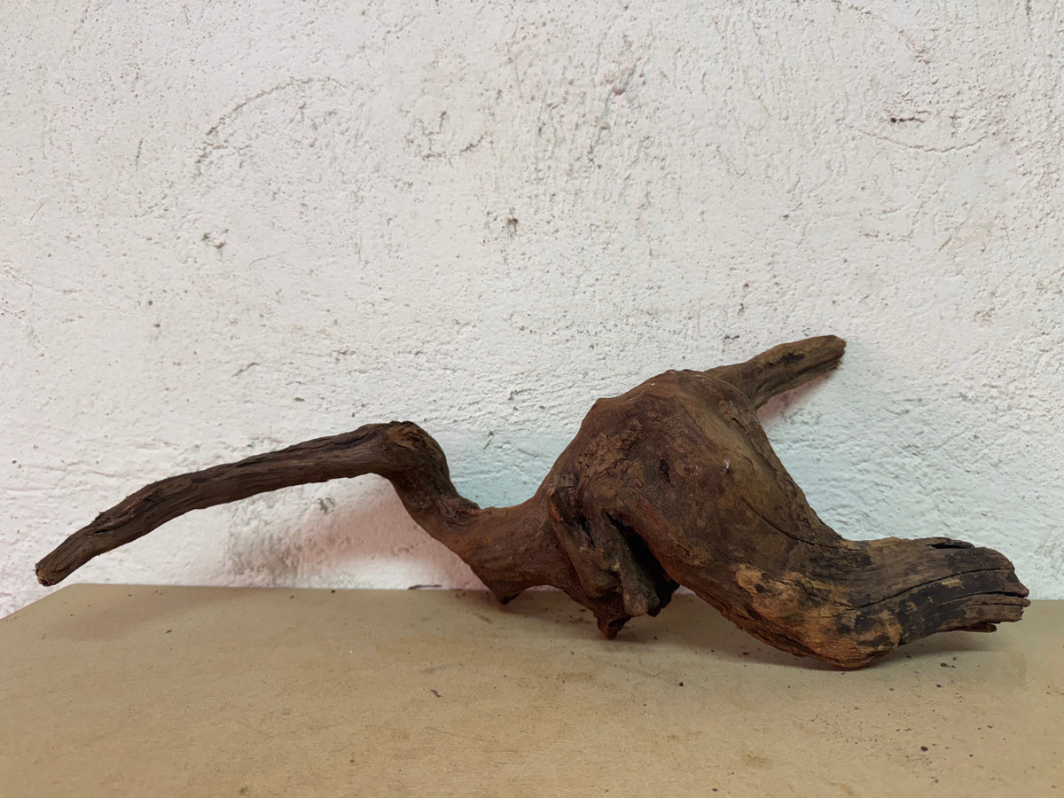 Drift Wood - 49*16*17 - cod.125 WHIMAR