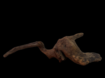 Drift Wood - 49*16*17 - cod.125 WHIMAR