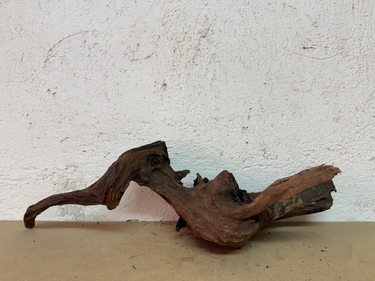 Drift Wood - 49*16*17 - cod.125 WHIMAR