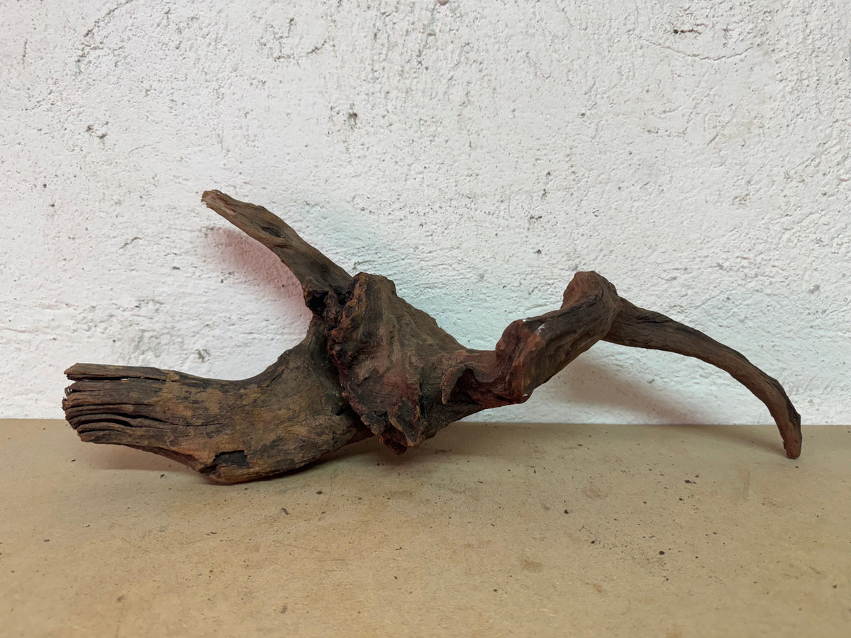 Drift Wood - 49*16*17 - cod.125 WHIMAR
