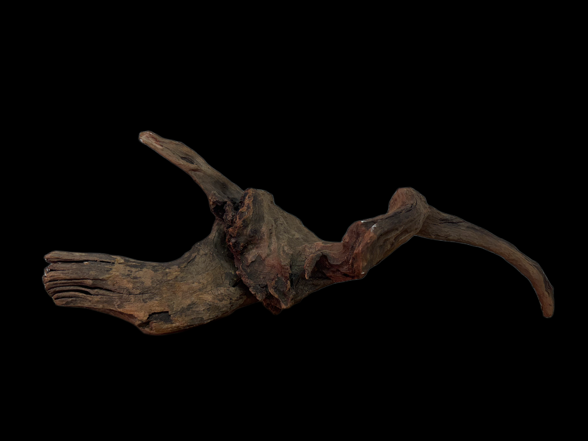 Drift Wood - 49*16*17 - cod.125 WHIMAR