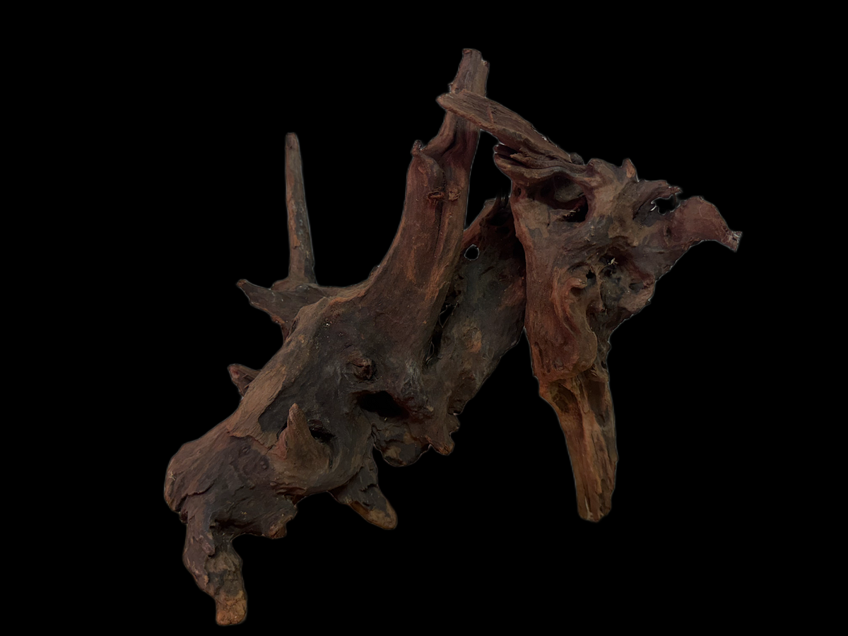 Drift Wood - 31*27*29 - cod.126 WHIMAR