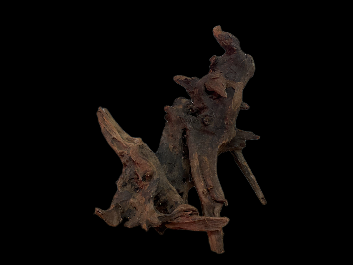 Drift Wood - 31*27*29 - cod.126 WHIMAR