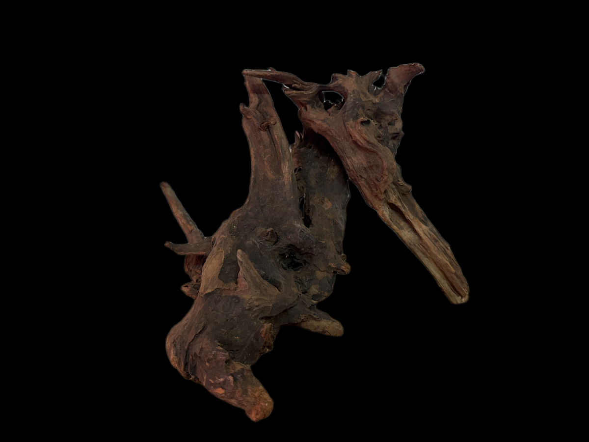 Drift Wood - 31*27*29 - cod.126 WHIMAR
