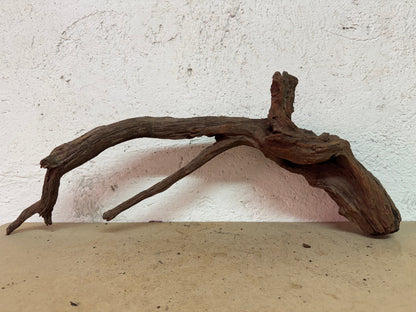 Drift Wood - 53*11*22 - cod.127 WHIMAR
