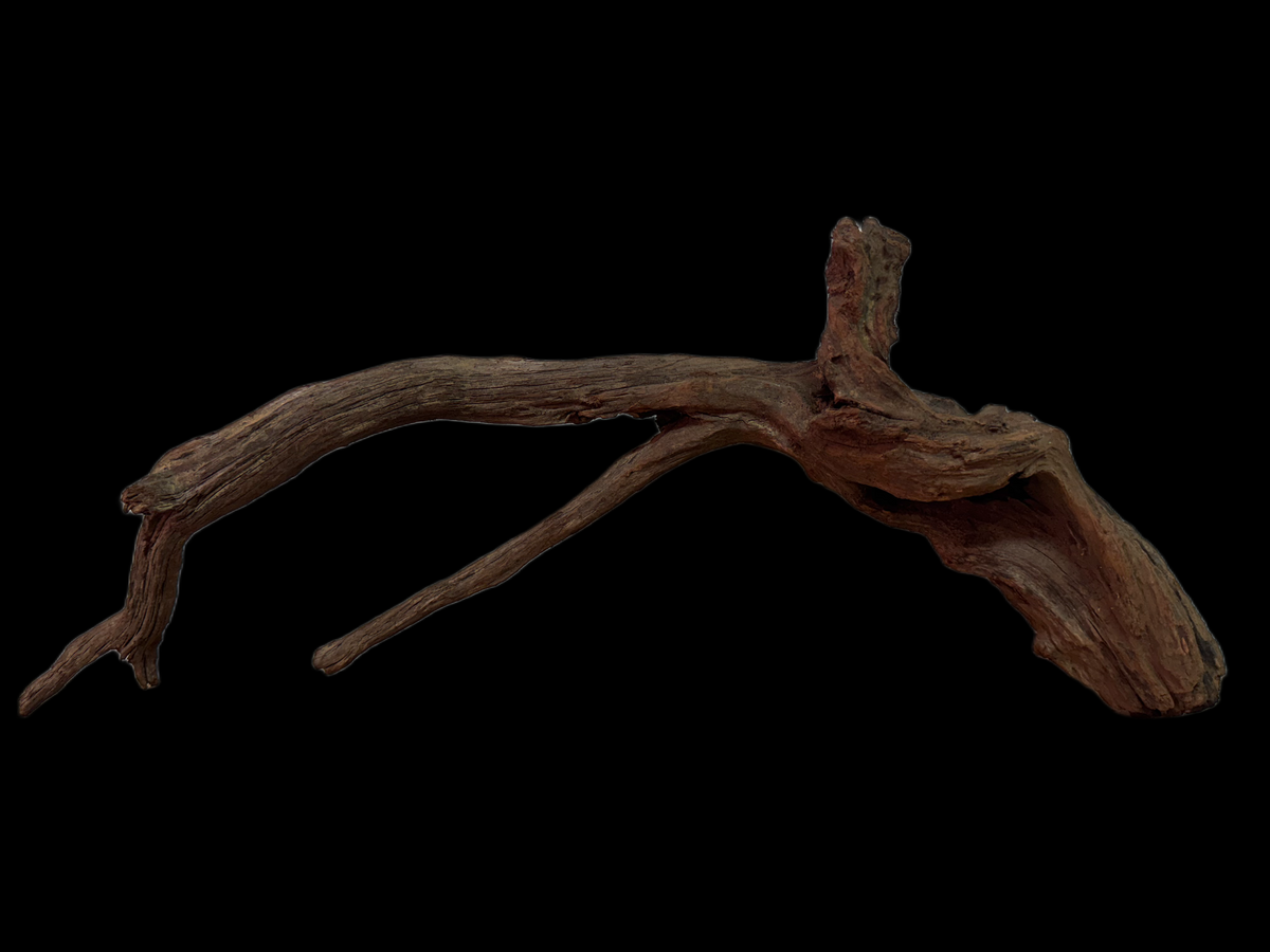 Drift Wood - 53*11*22 - cod.127 WHIMAR