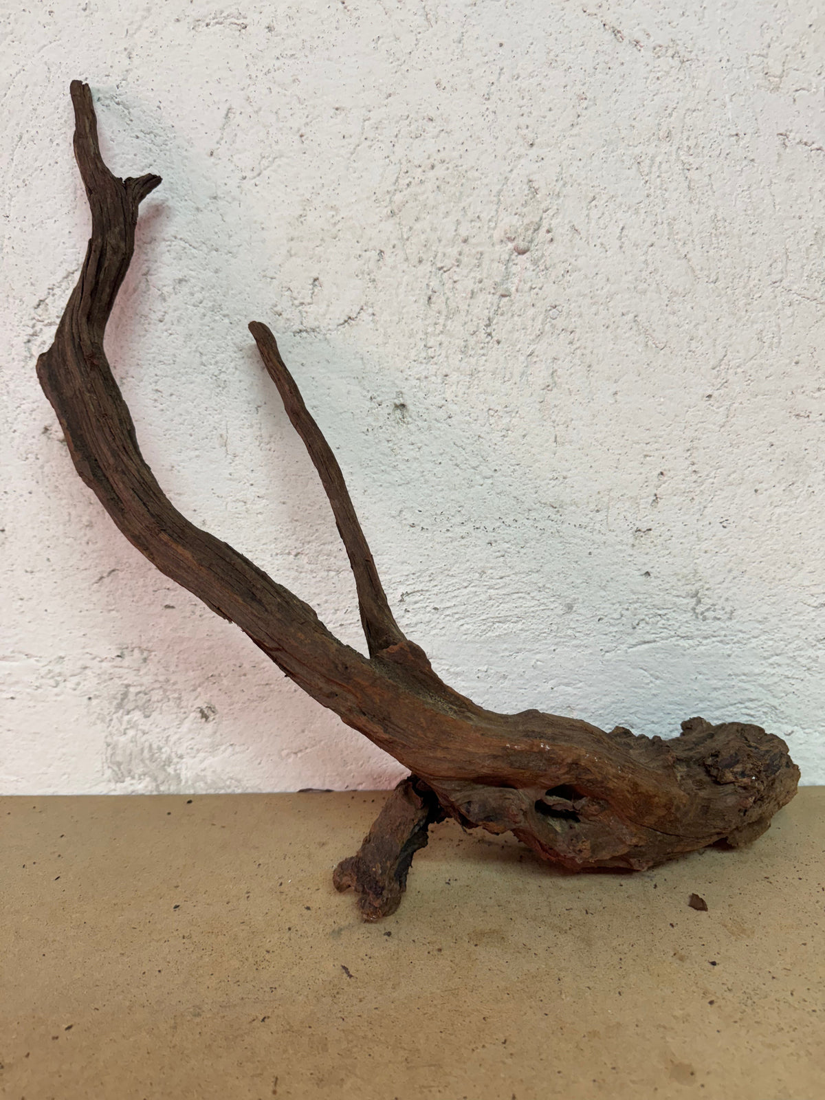 Drift Wood - 53*11*22 - cod.127 WHIMAR