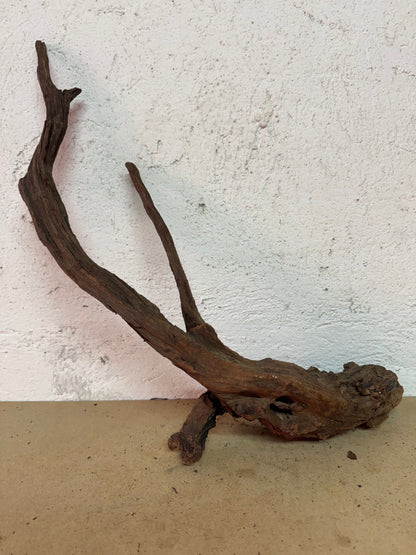 Drift Wood - 53*11*22 - cod.127 WHIMAR