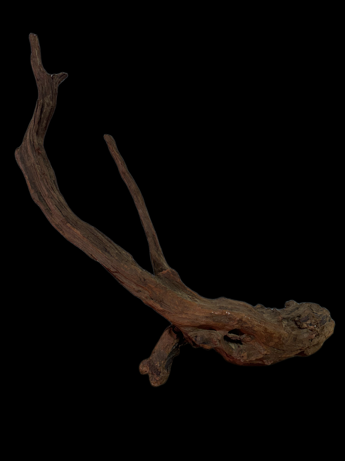 Drift Wood - 53*11*22 - cod.127 WHIMAR