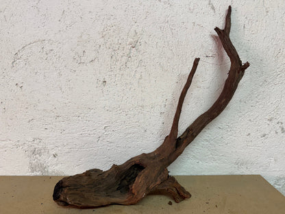 Drift Wood - 53*11*22 - cod.127 WHIMAR