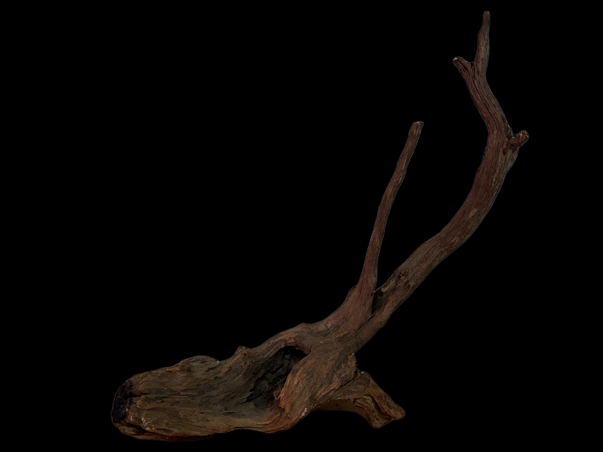 Drift Wood - 53*11*22 - cod.127 WHIMAR