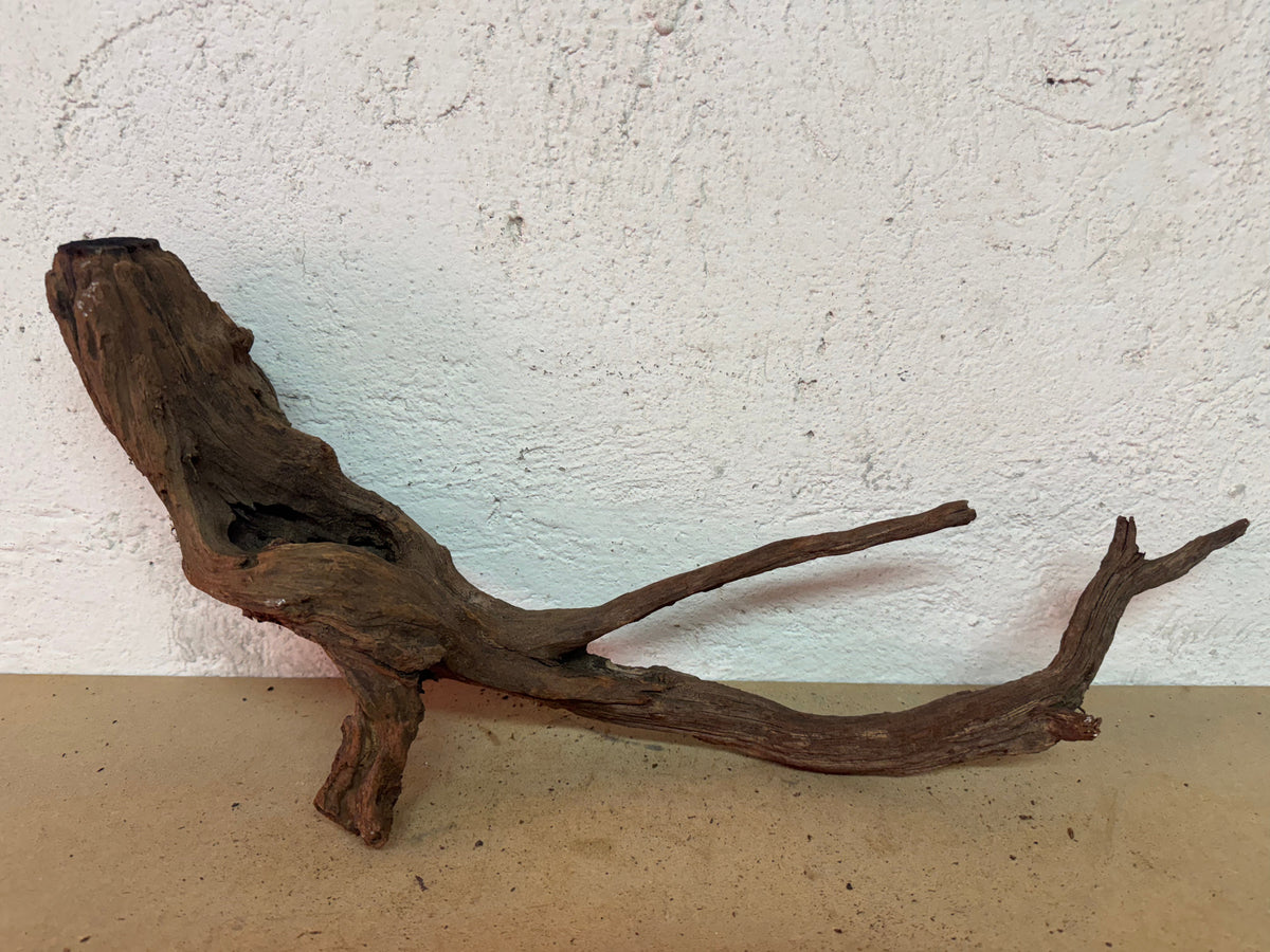 Drift Wood - 53*11*22 - cod.127 WHIMAR