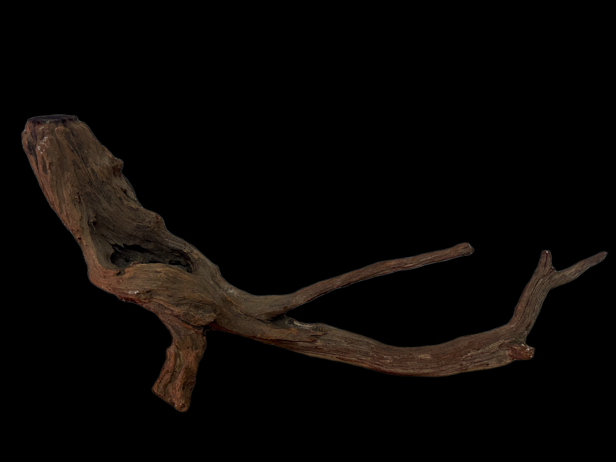 Drift Wood - 53*11*22 - cod.127 WHIMAR