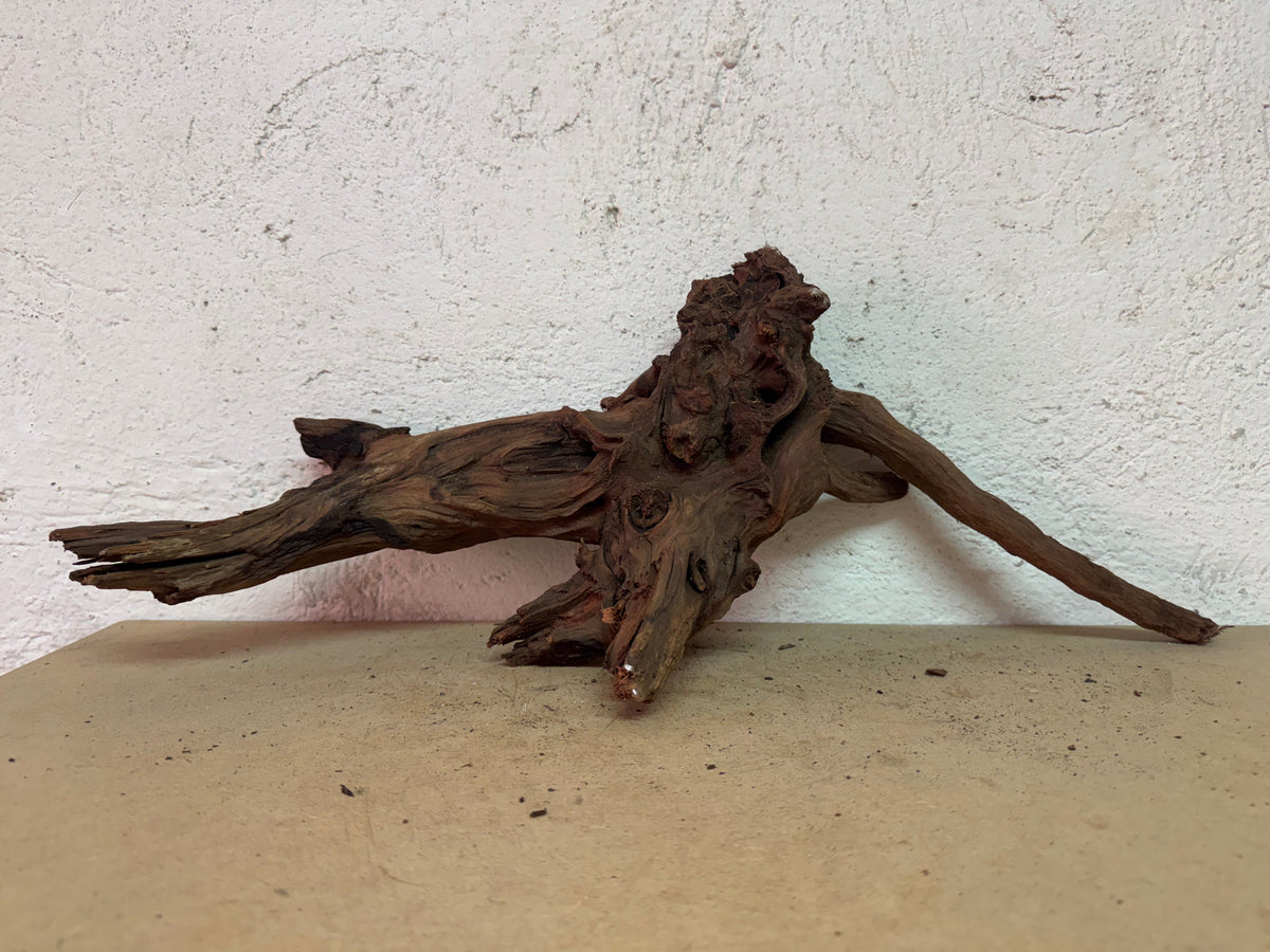 Drift Wood - 57*18*22 - cod.128 WHIMAR