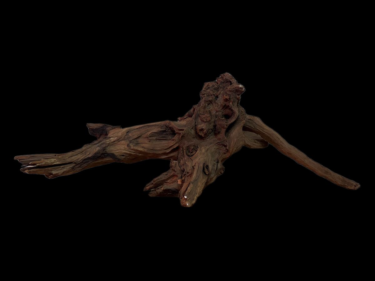 Drift Wood - 57*18*22 - cod.128 WHIMAR
