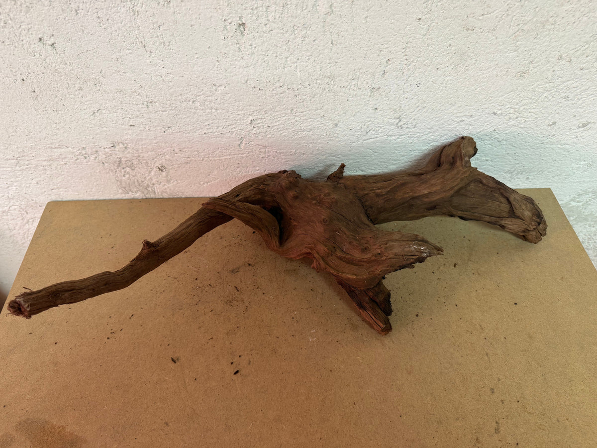 Drift Wood - 57*18*22 - cod.128 WHIMAR