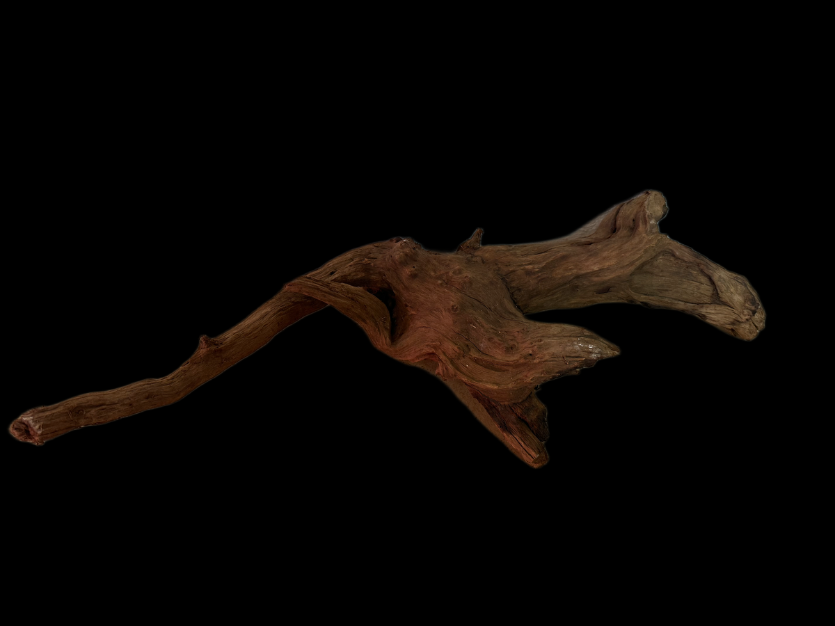 Drift Wood - 57*18*22 - cod.128 WHIMAR