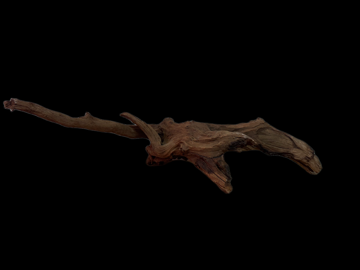 Drift Wood - 57*18*22 - cod.128 WHIMAR
