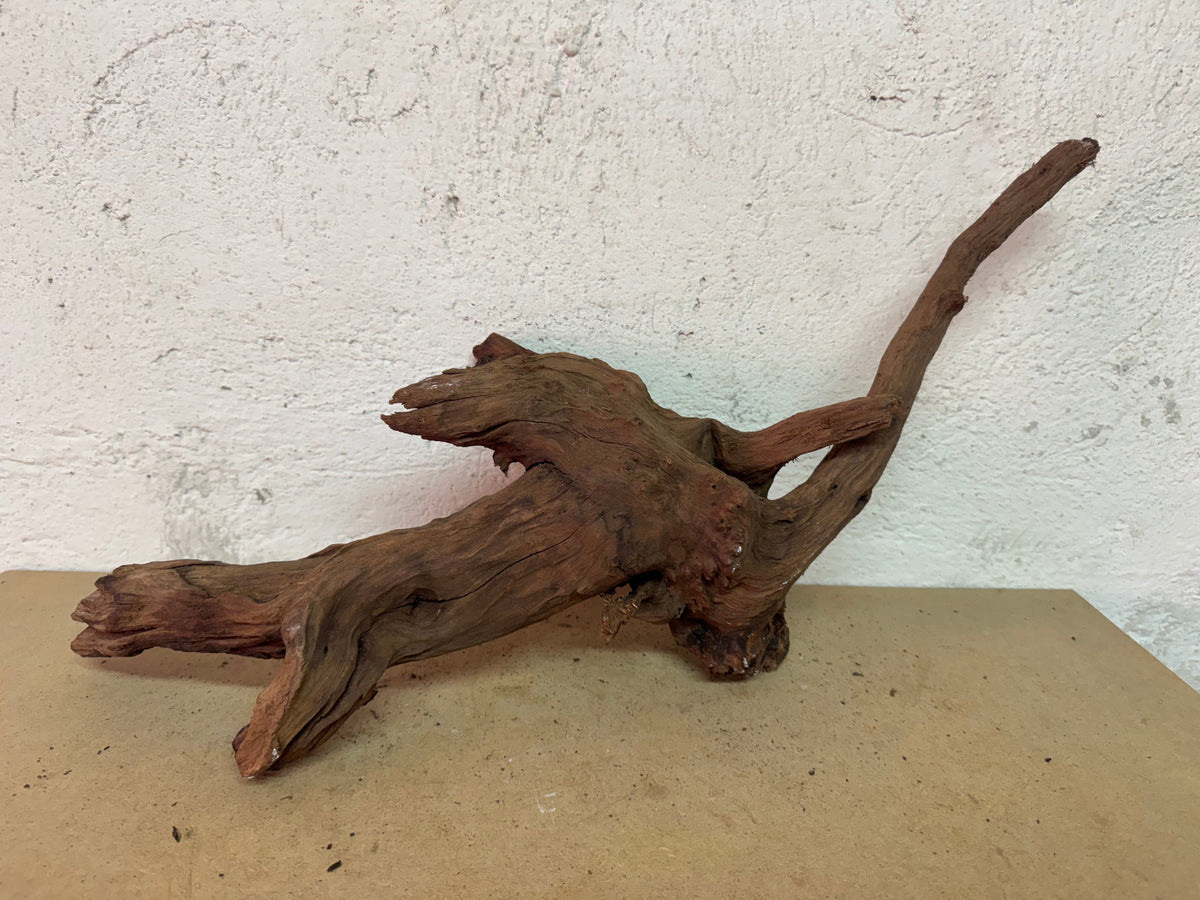 Drift Wood - 57*18*22 - cod.128 WHIMAR