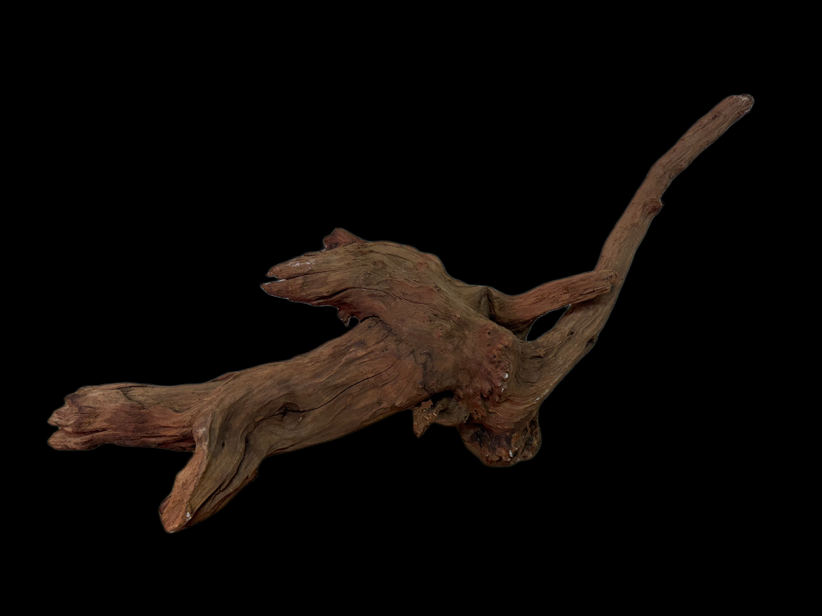 Drift Wood - 57*18*22 - cod.128 WHIMAR