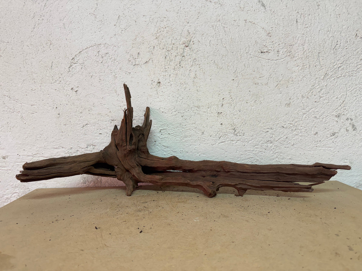Drift Wood - 61*24*23 - cod.129 WHIMAR