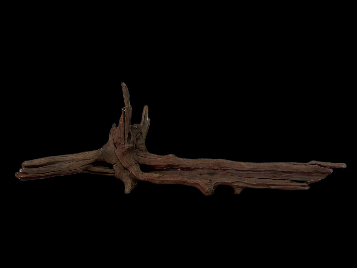 Drift Wood - 61*24*23 - cod.129 WHIMAR