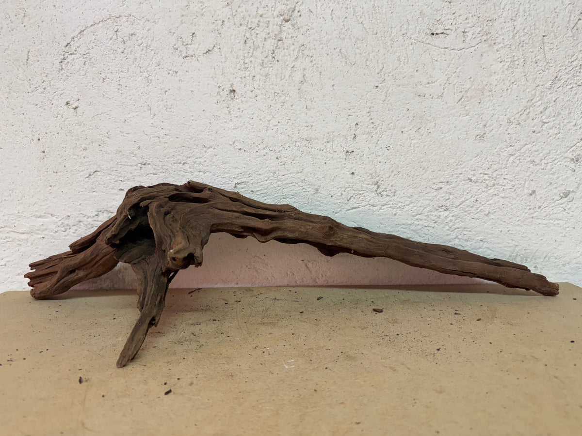 Drift Wood - 61*24*23 - cod.129 WHIMAR