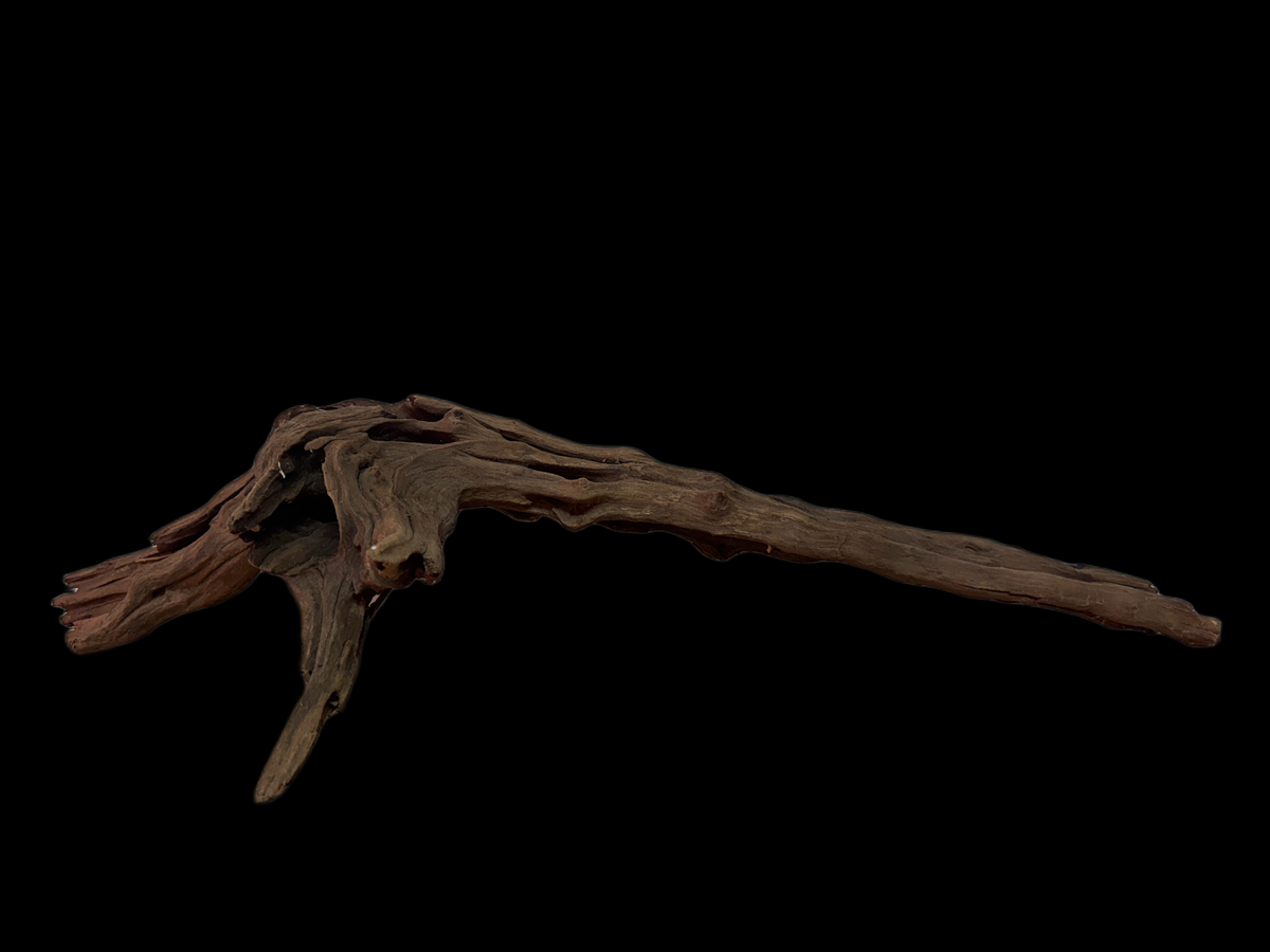 Drift Wood - 61*24*23 - cod.129 WHIMAR