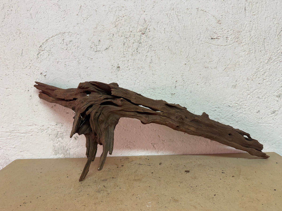 Drift Wood - 61*24*23 - cod.129 WHIMAR