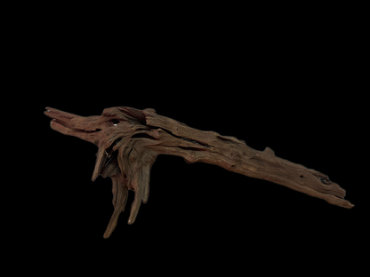Drift Wood - 61*24*23 - cod.129 WHIMAR