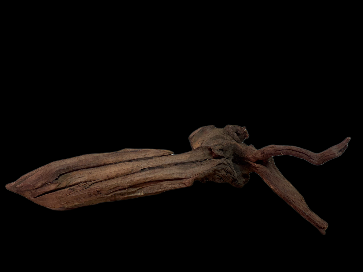 Drift Wood - 44*13*22 - cod.130 WHIMAR