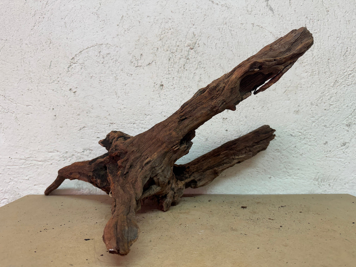 Drift Wood - 46*13*28 - cod.131 WHIMAR