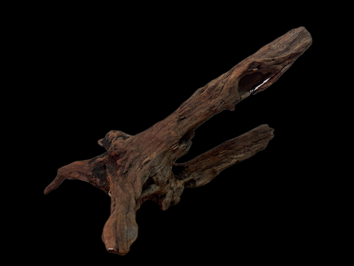 Drift Wood - 46*13*28 - cod.131 WHIMAR