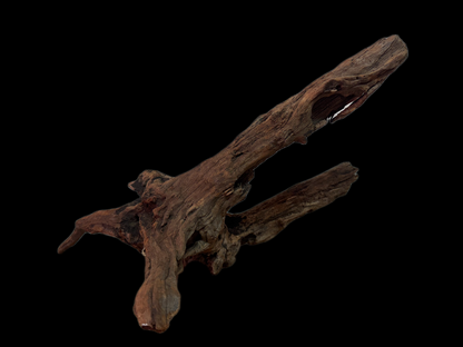 Drift Wood - 46*13*28 - cod.131 WHIMAR