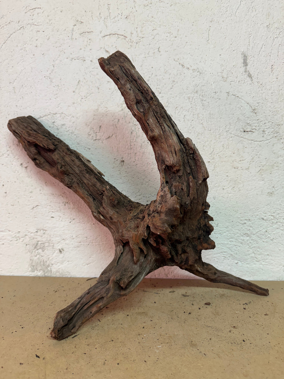 Drift Wood - 46*13*28 - cod.131 WHIMAR