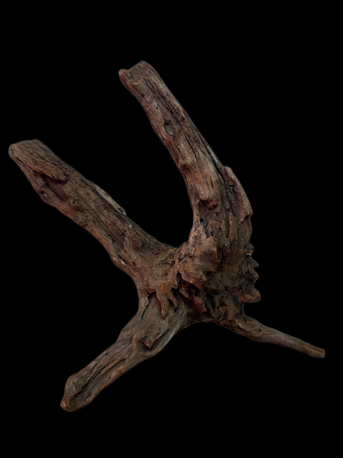 Drift Wood - 46*13*28 - cod.131 WHIMAR