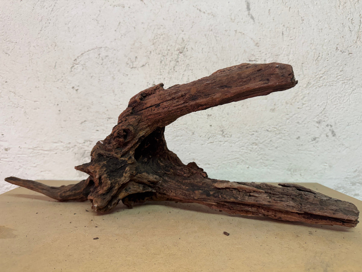 Drift Wood - 46*13*28 - cod.131 WHIMAR