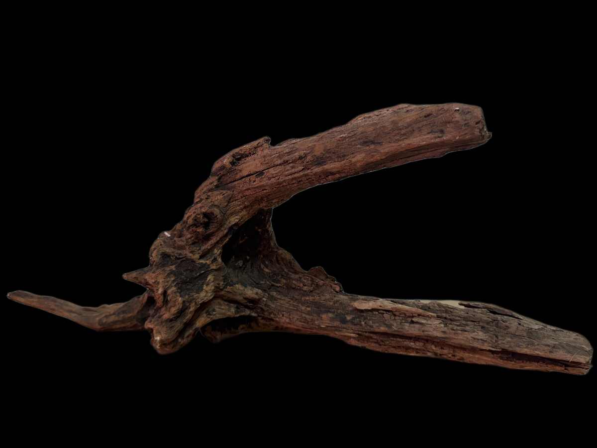 Drift Wood - 46*13*28 - cod.131 WHIMAR