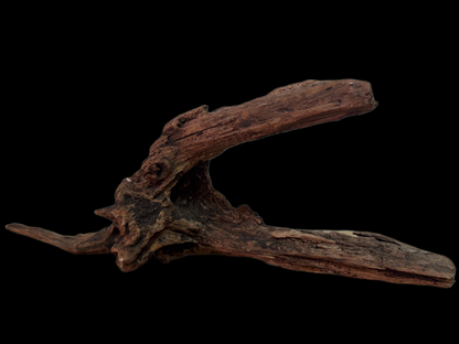 Drift Wood - 46*13*28 - cod.131 WHIMAR