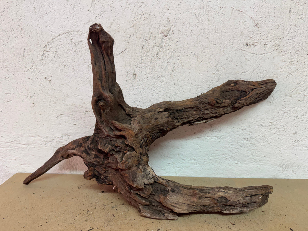 Drift Wood - 46*13*28 - cod.131 WHIMAR