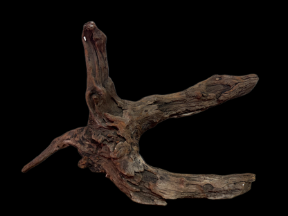 Drift Wood - 46*13*28 - cod.131 WHIMAR