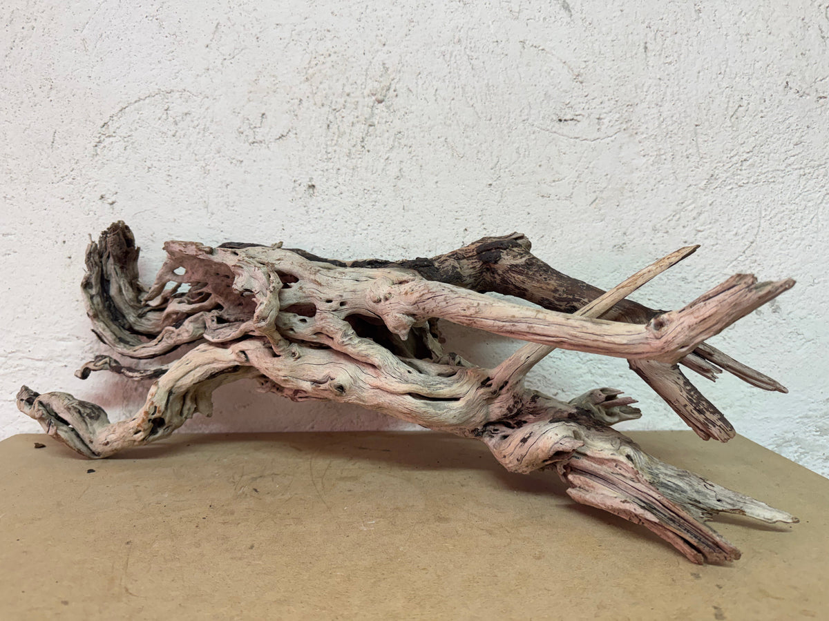 Drift Wood - 60*29*20 - cod.132 WHIMAR