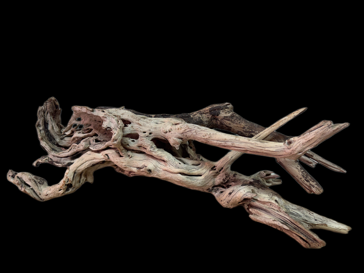Drift Wood - 60*29*20 - cod.132 WHIMAR