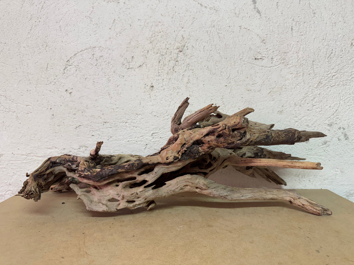 Drift Wood - 60*29*20 - cod.132 WHIMAR