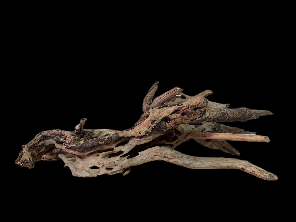 Drift Wood - 60*29*20 - cod.132 WHIMAR
